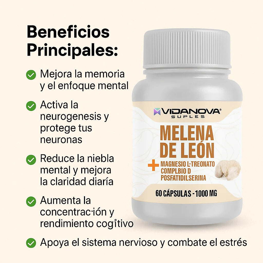 Melena de León Fortificada Con L-Treonato de Magnesio + Complejo B + Fosfatidilserina