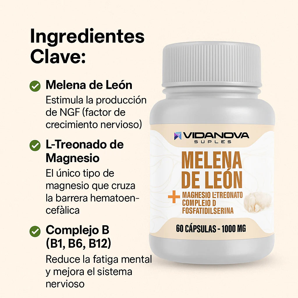 Melena de León Fortificada Con L-Treonato de Magnesio + Complejo B + Fosfatidilserina