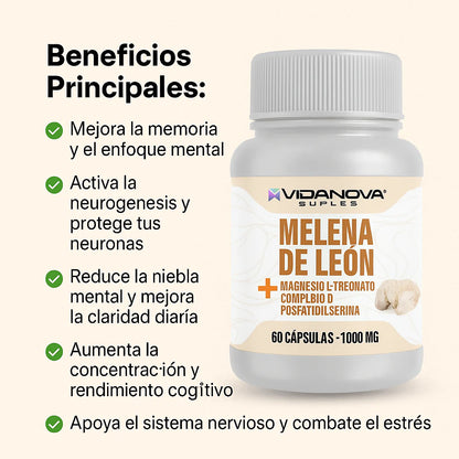 Melena de León Fortificada Con L-Treonato de Magnesio + Complejo B + Fosfatidilserina