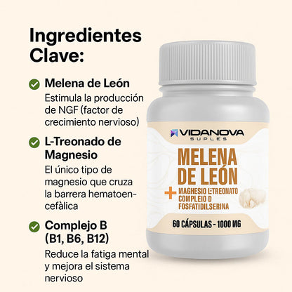 Melena de León Fortificada Con L-Treonato de Magnesio + Complejo B + Fosfatidilserina